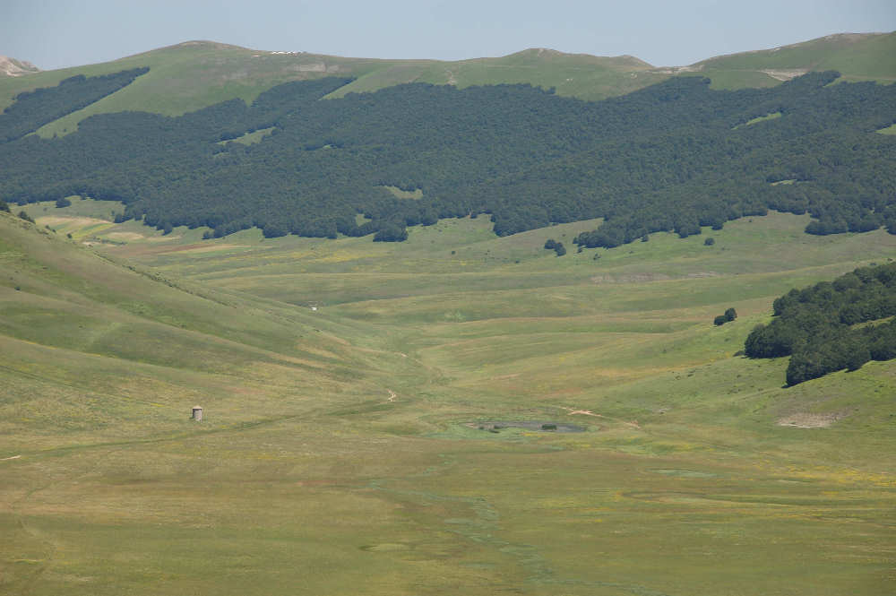 Pian Piccolo Macchia Cavaliera
