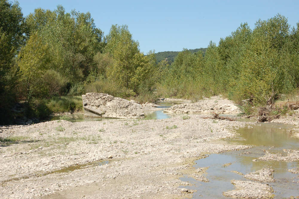 Orcia
