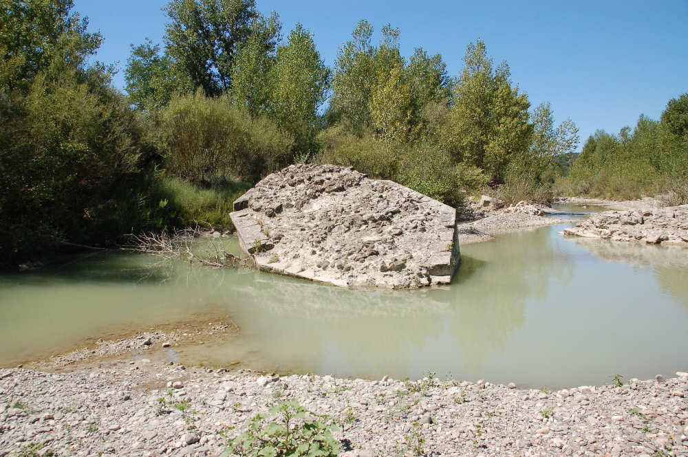 Orcia