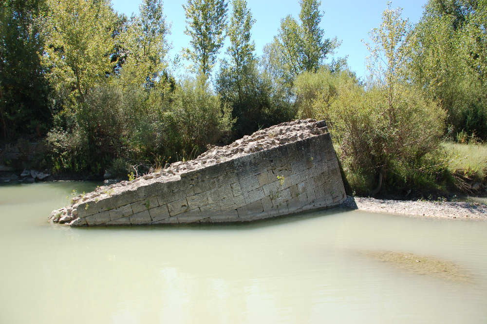 Orcia