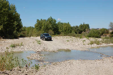 Orcia