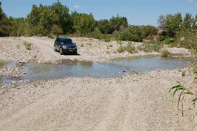 Orcia