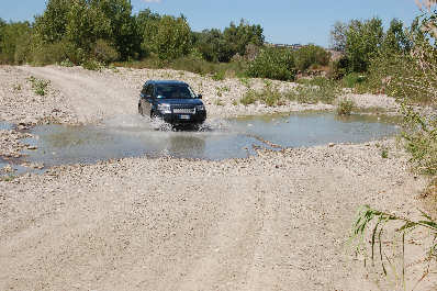 Orcia