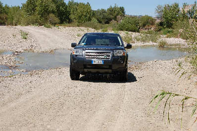 Orcia
