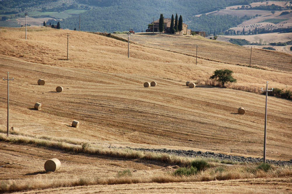 I quattro alberi