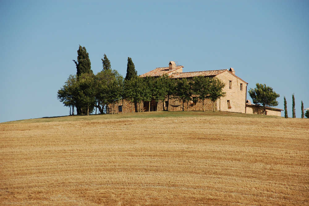 I quattro alberi