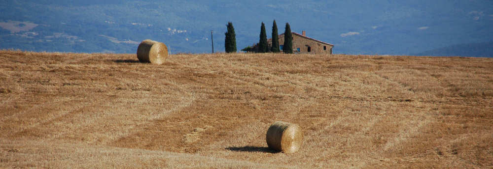 La Valdorcia. I quattro alberi