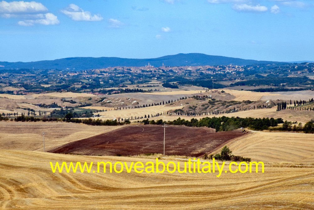 Siena sullo sfondo