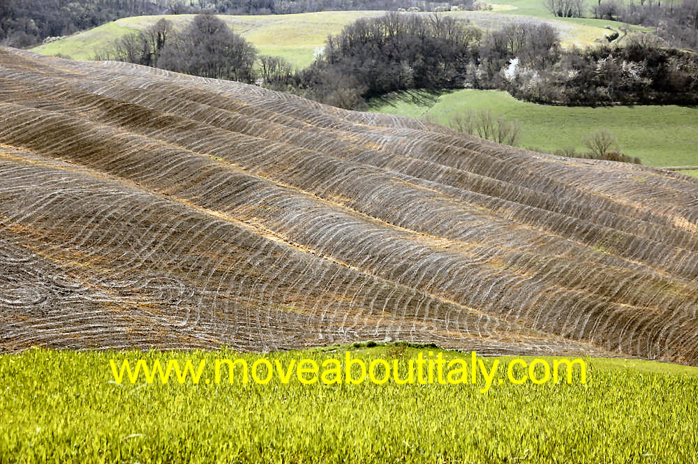 La primavera delle Crete Senesi