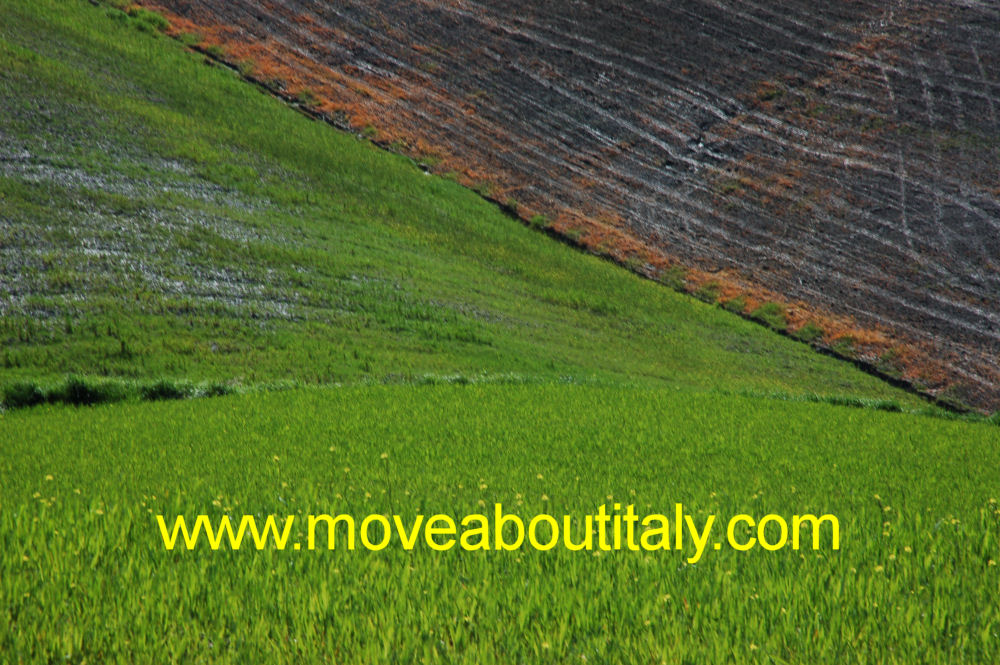 Crete Senesi