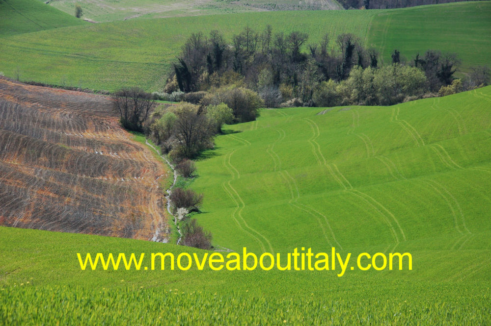 La primavera delle Crete Senesi