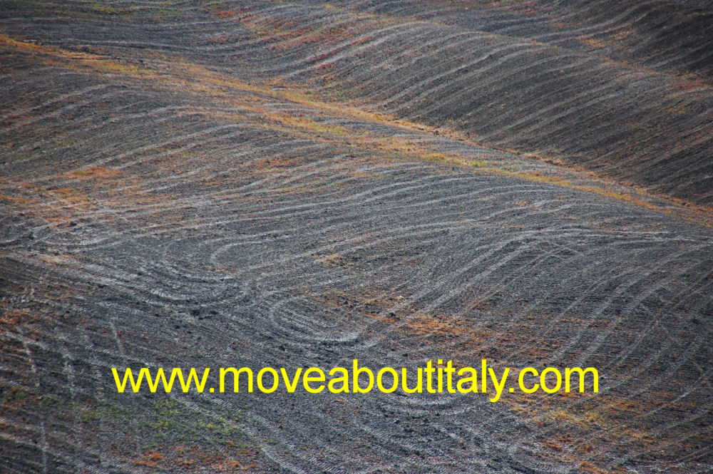 La terra di Siena