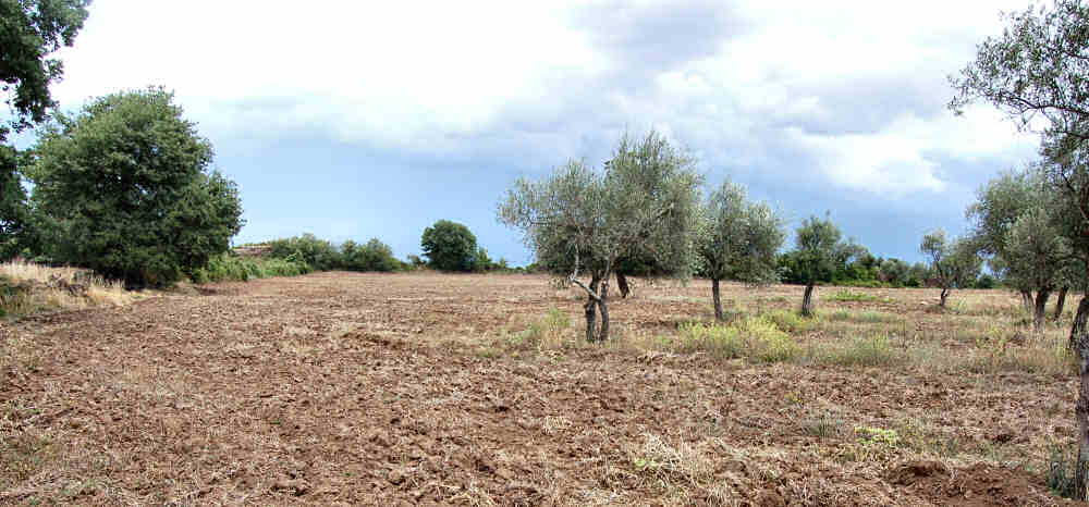 Falerii Novi - la via Amerina