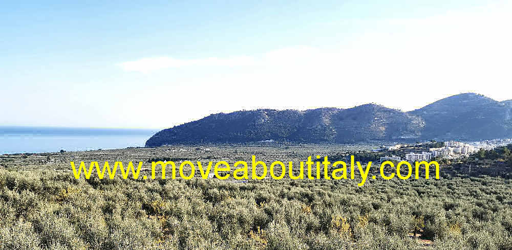 la piana di Mattinata
