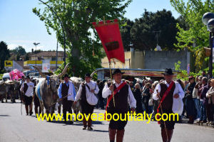 Bifolchi