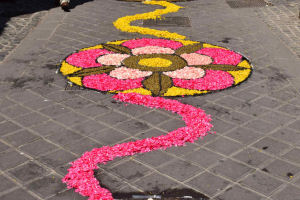 l'infiorata del Corpus Domini a Bolsena