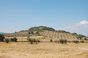 Bisenzio