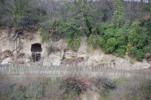 L'abitato etrusco di Civita