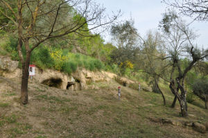 Necropoli Pianezze