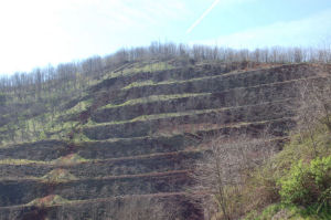 Valentano cava di lapillo verde
