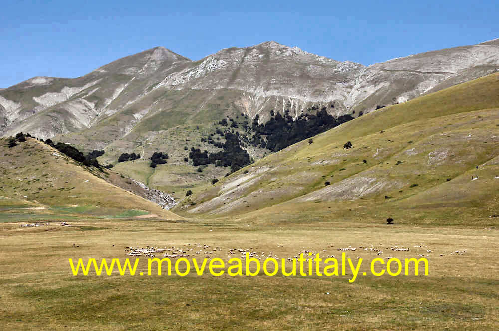 Monte Porche, Palazzo Borghese e Monte Argentella