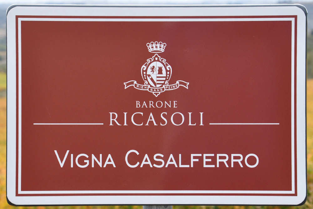 Vigna di Casalferro
