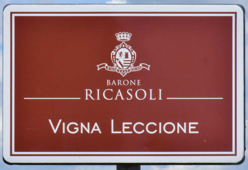 Vigna del Leccione
