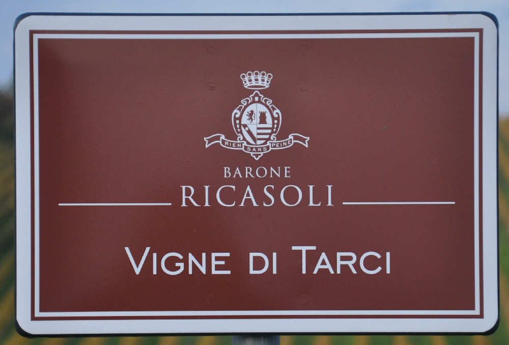 Vigne dei Tarci