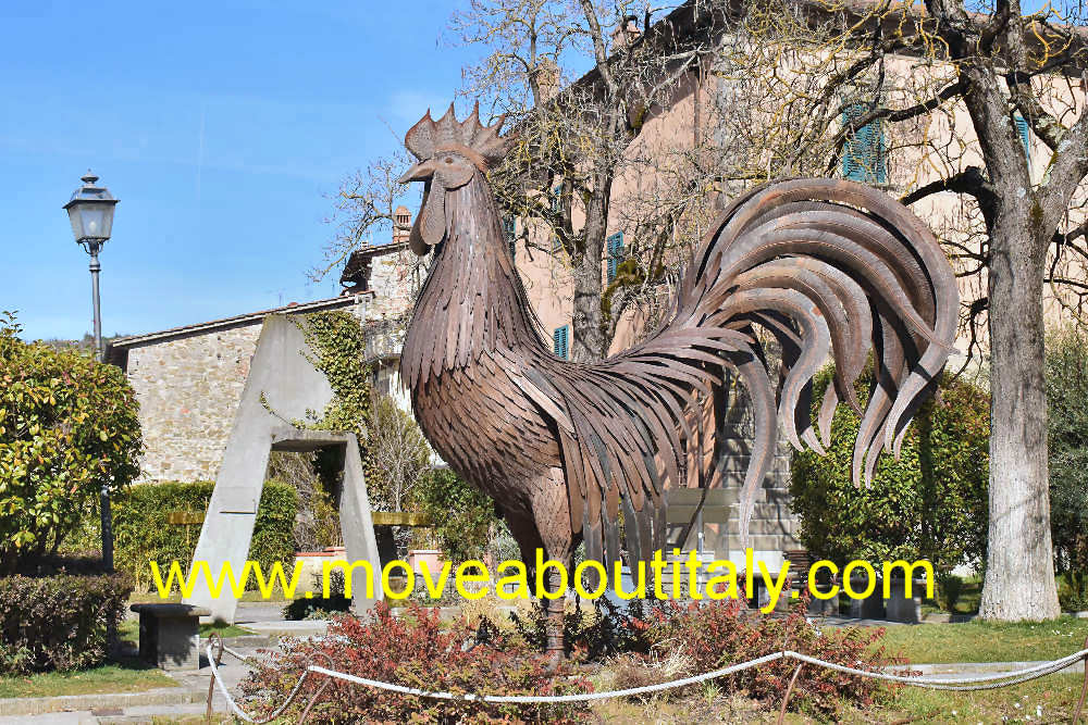 Gallo nero