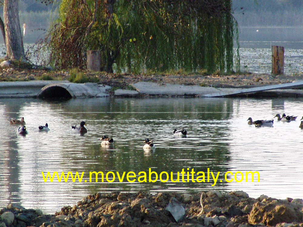 Lago di Chiusi