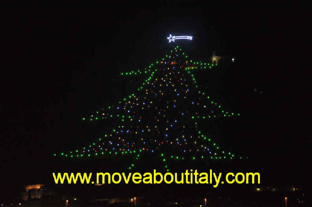 l'albero di Natale