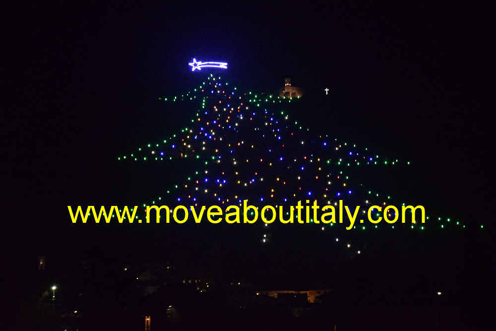 l'albero di Natale