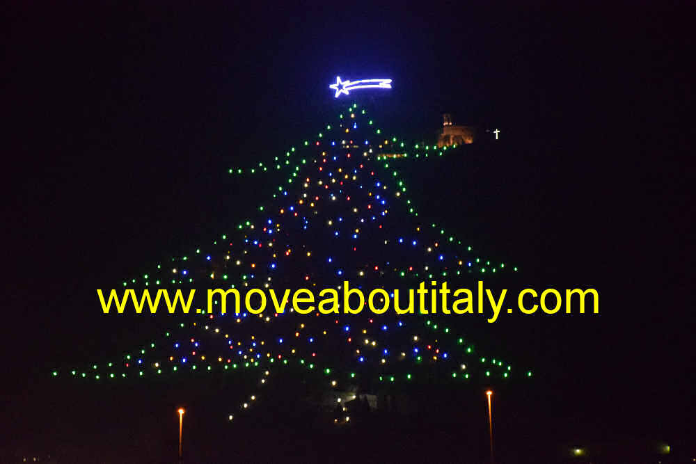 l'albero di Natale